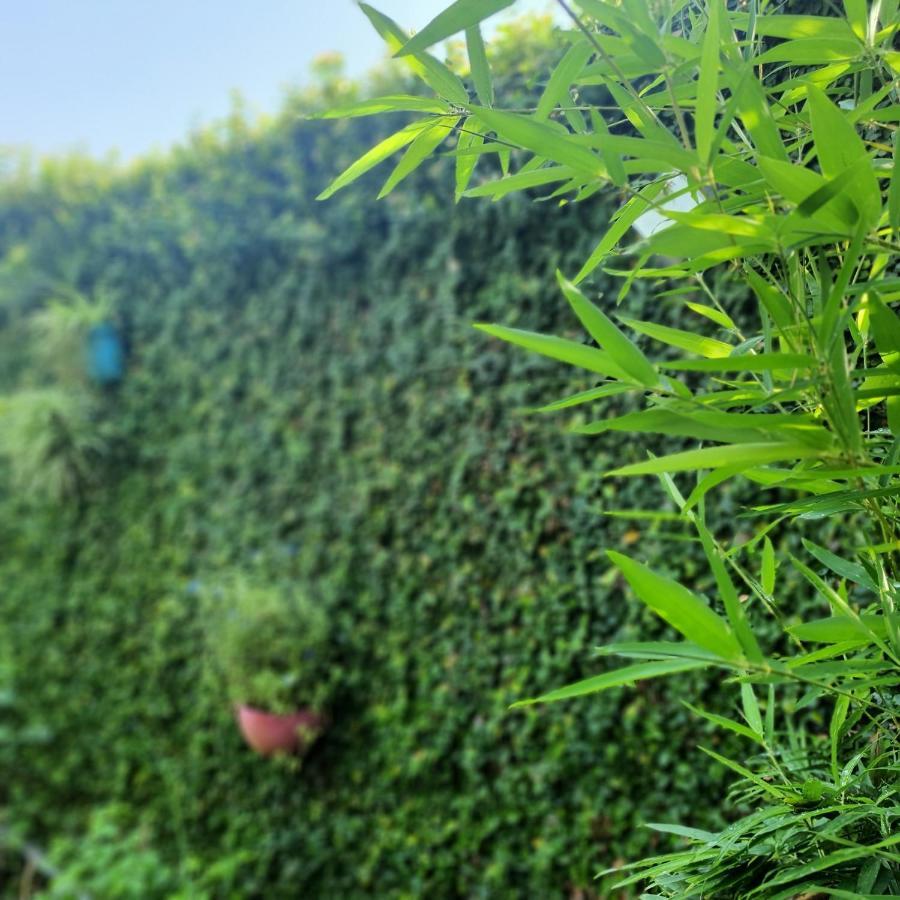 Homestay Vom Vom Garden House *
