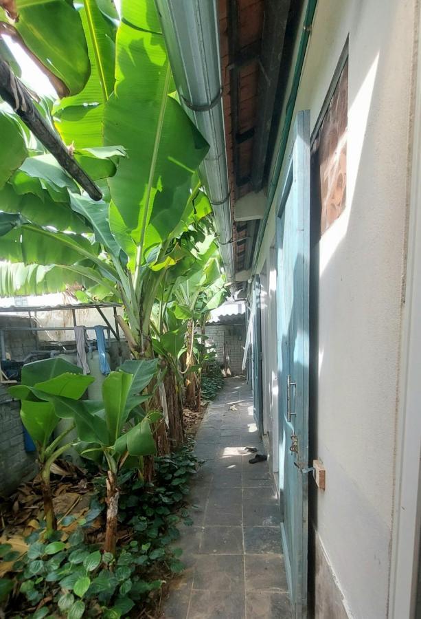 Vom Vom Garden House