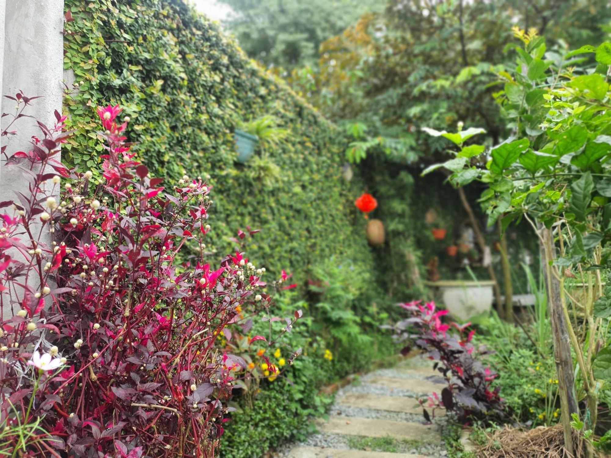 Vom Vom Garden House Homestay Da Nang