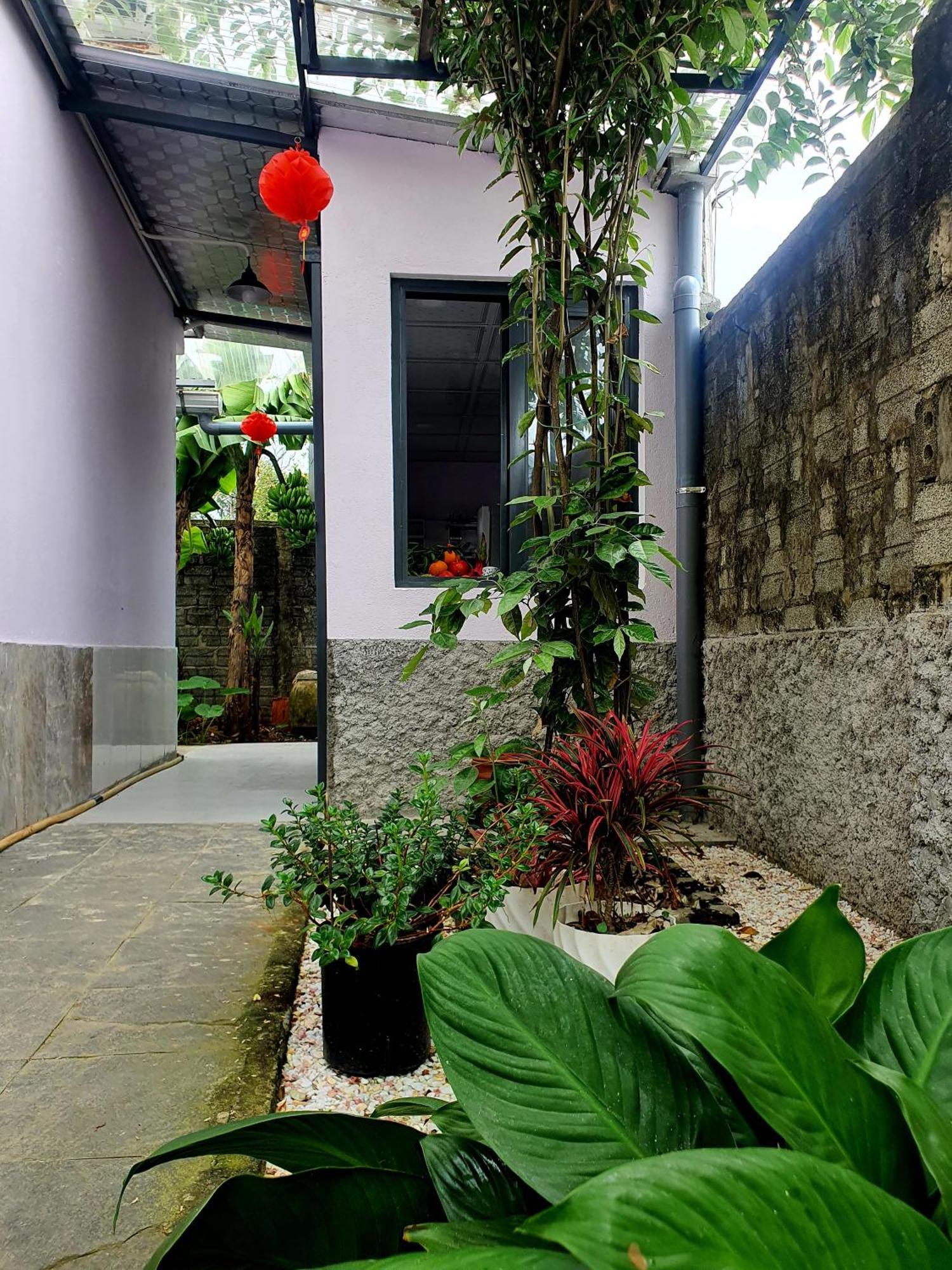 Vom Vom Garden House * Da Nang